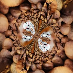 Coffee black and background