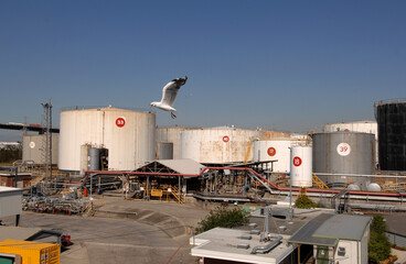 overhead view of fuel storage terminal-refinery and a screaming seagull mid frame- area also known as a tank farm.
