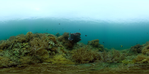 Beautiful underwater landscape with tropical fish and corals. Philippines. 360 panorama VR