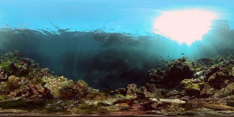 Underwater fish garden reef. Reef coral scene. Seascape under water. Philippines. Virtual Reality 360.