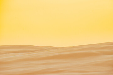 sand dunes in the desert