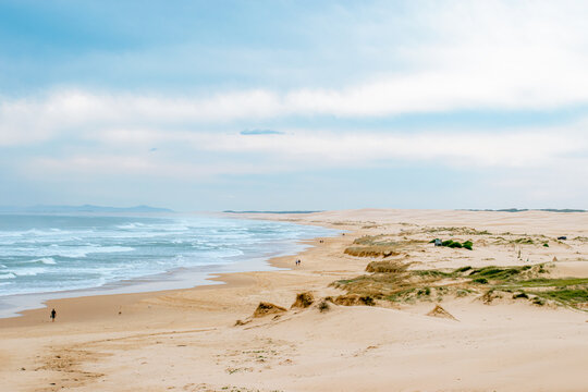 Landscape view of the beach