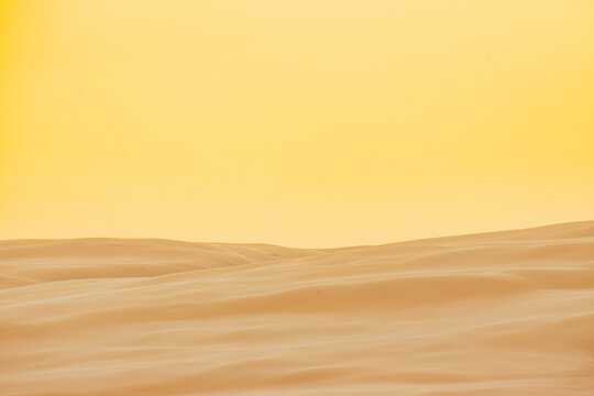 sand dunes in the desert