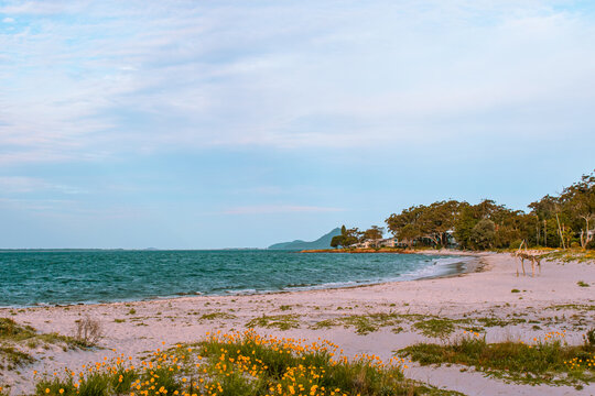 Landscape view of the beach