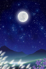 中秋の名月　十五夜　桔梗　ススキ　野原