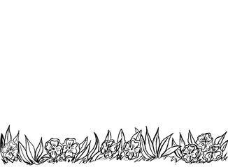 Obraz premium Flowers, grass and leaves are black on a white background