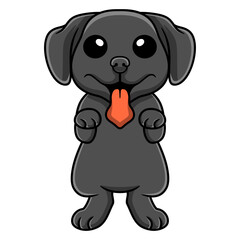 Cute black labrador dog cartoon posing