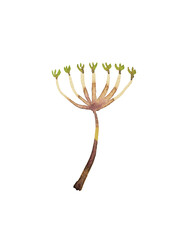 Abstract watercolor floral painting. Colorful flower for greeting card.