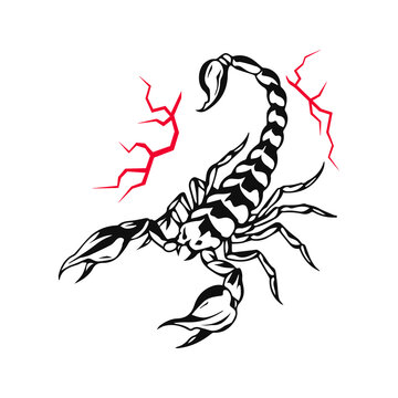 vector illustration of a scorpion with lightning