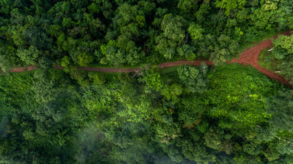 Aerial top view rural road in the forest, dirt road or mud road and rain forest, Aerial view road...