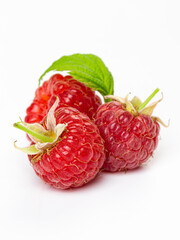 Raspberries isolated on white background close up. Raspberries Clipping Path. Mint Raspberries macro studio photo