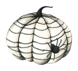 Black and white pumpkin. Thanksgiving decor. Autumn festive halloween. Holiday greeting card. Watercolor illustration.