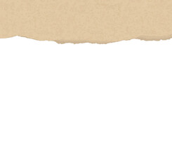 Torn paper background. Ripped paper sheet. Note paper.