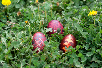 Easter eggs in grass