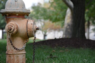 fire hydrant in the park