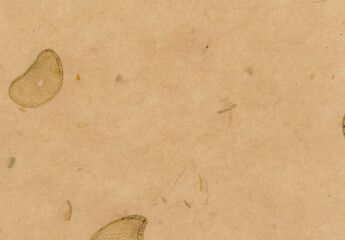 blank hand made japanese traditional paper 