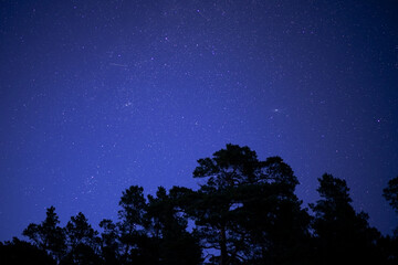 starry night sky