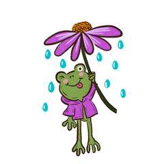 frog with purple flower in the rain.