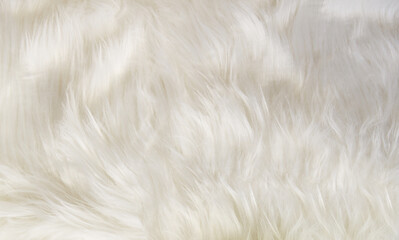 white fur