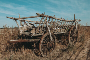 Fototapeta na wymiar an old wooden horse-drawn carriage in a field