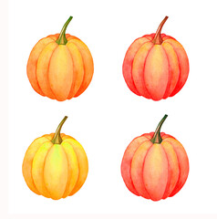 Set of watercolor pumpkins. Autumn pumpkins on a white background