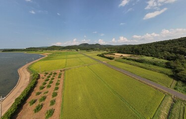 山陰海岸国定公園京丹後市　久美浜湾と田園風景