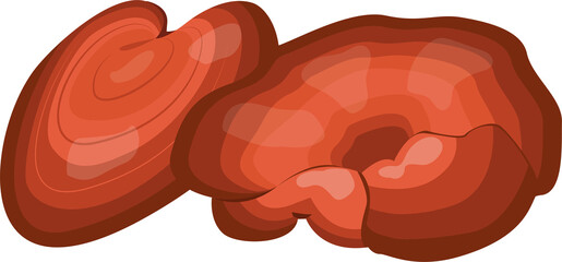 Chinese herbs, Chinese wisdom for thousands of years Contains beneficial plants that support longevity, such as ginseng, reishi, cordyceps, shitake mushrooms and tea.