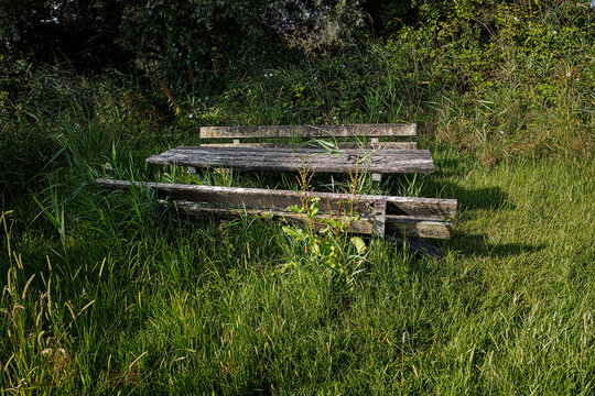 Rottige Meenthe, nature reserve, Friesland province. The Netherlands 