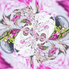 bouquet of pink and white flowers