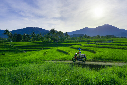 Beautiful morning view in Indonesia. Panorama of the village with farmers on their way to work