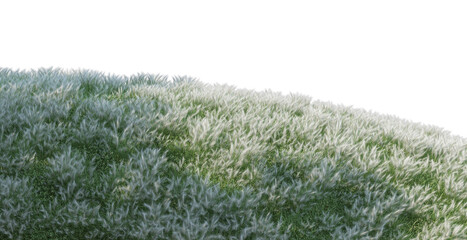 Meadows on a transparent background