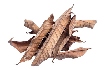 dry leaves, group of leaves, isolated on transparent background tropical dry leaves, png