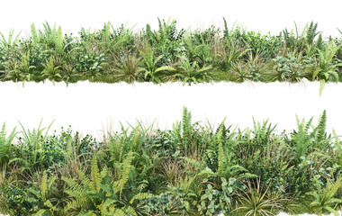 Shrubs and plants on a transparent background
