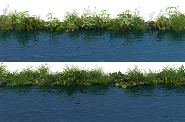 Waterfront plants on a transparent background