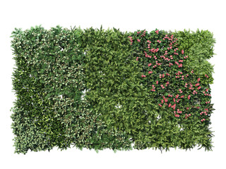 Vertical garden on transparent background
