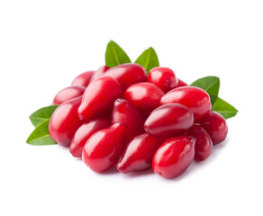 Red berries of cornel fruits