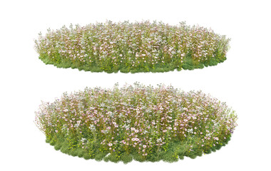 Meadow on a transparent background
