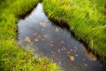 National Park Lake District, Helvellyn Hills, view while climbing Lake Thirlmere and Red Tarm, crossing Striding Edge and Swirral Edge during fog, 2022.