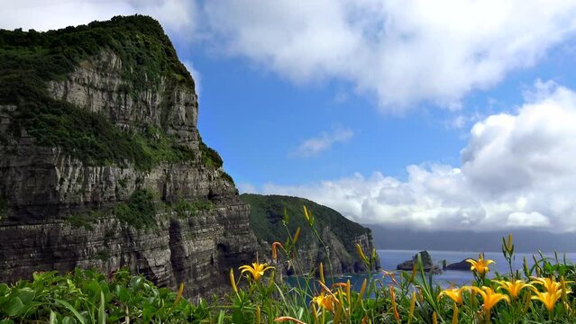 夜萩円山公園から見る鹿島断崖_鹿児島県甑島鹿島_100～200m級の断崖が南に約16kmにわたって続く断崖にはウミネコの営巣地がある。付近にはニシノハマカンゾウやカノコユリも楽しめる。