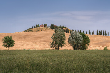 Collina Toscana, Siena in estate