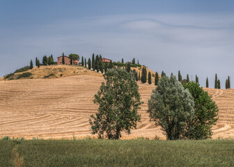 Collina Toscana, Siena in estate