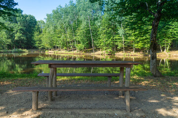 Fototapeta na wymiar Table and benches on the shore of the pond near the forest