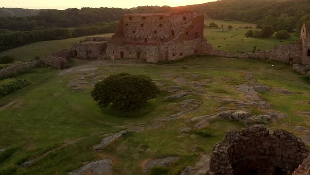 Aerial of Impressive Medieval Fortress of Hammershus Ruins at sunset, Denmark