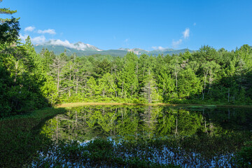 夏の朝の乗鞍高原牛留池　8月
