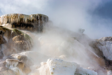 Landscape of Mammoth Hot Springs in Yellowstone National Park