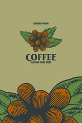 coffee bean vector illustration