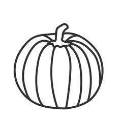 autumn pumpkin
