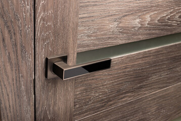 Brown wooden interior door with emphasis on metal handle.