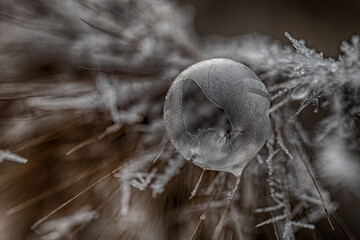 Seifenblase gefroren im Gras