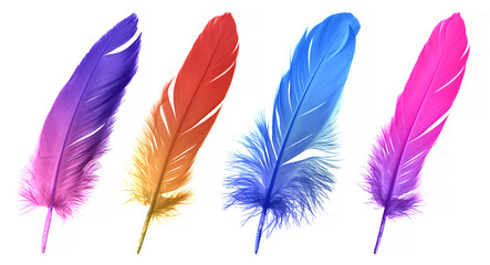 Beautiful Colorful Feathers. Purple, Red, Blue and Pink Feathers. Collection Feathers Isolated on White Background.